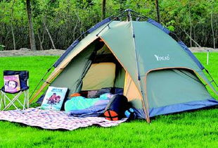 明媚春光催熱大慶踏青經濟，戶外用品旺銷垂釣配件成亮點